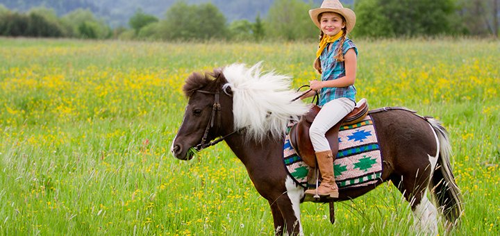 https://cdn1.pokupon.ua/uploaded/new_campaign_pictures/509542/data/main720x340/1.jpg?1536322694
