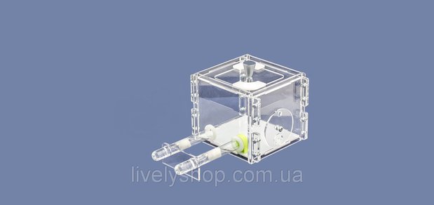 https://cdn1.pokupon.ua/uploaded/new_campaign_pictures/509712/data/main620x292/934075175_w800_h640_12.4049cd93ce6__46d49396b3.jpg?1536571865
