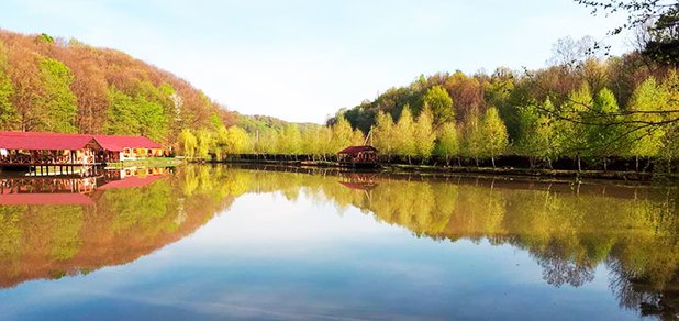 https://cdn1.pokupon.ua/uploaded/new_campaign_pictures/511134/data/main620x292/viber-imag%D0%BC%D0%BCe.jpg?1536845303