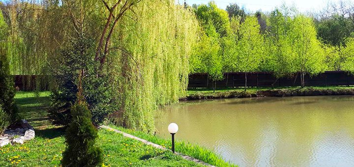 https://cdn1.pokupon.ua/uploaded/new_campaign_pictures/511141/data/main720x340/viber-ima%D0%BC%D0%BCge.jpg?1536845305