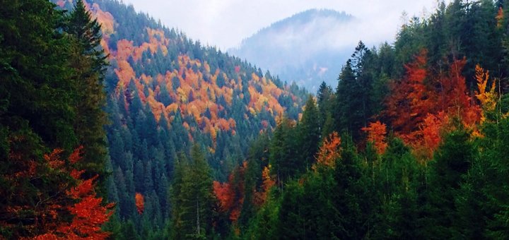 https://cdn1.pokupon.ua/uploaded/new_campaign_pictures/511175/data/main720x340/6min.jpg?1537177597