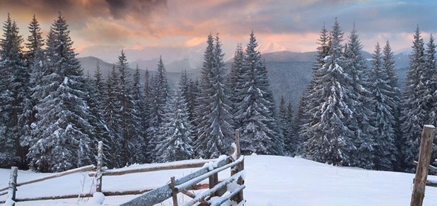 https://cdn1.pokupon.ua/uploaded/new_campaign_pictures/51253/data/main620x292/720x2.jpg?1446196130