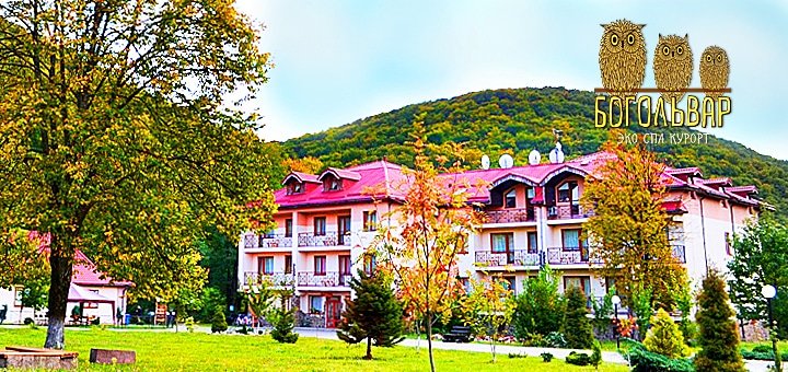 https://cdn1.pokupon.ua/uploaded/new_campaign_pictures/51312/data/main720x340/bobo.jpg?1446450535