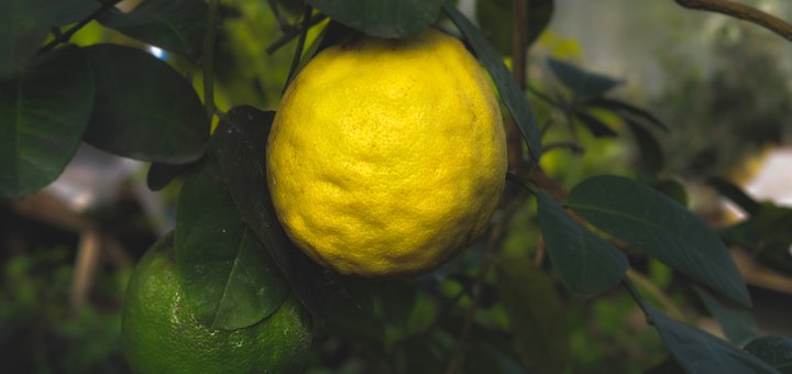https://cdn1.pokupon.ua/uploaded/new_campaign_pictures/513407/data/main720x340/_DSC0023-2.jpg?1537435873