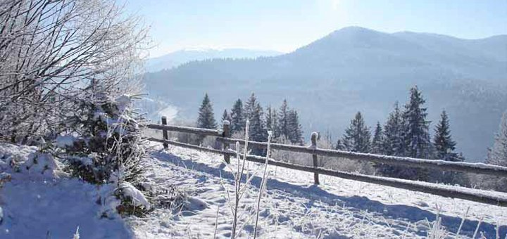 https://cdn1.pokupon.ua/uploaded/new_campaign_pictures/517626/data/main720x340/8.jpg?1538745447