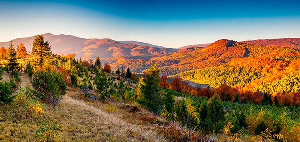 https://cdn1.pokupon.ua/uploaded/new_campaign_pictures/517993/data/main620x292/shutterstock_344214530.jpg?1539071402