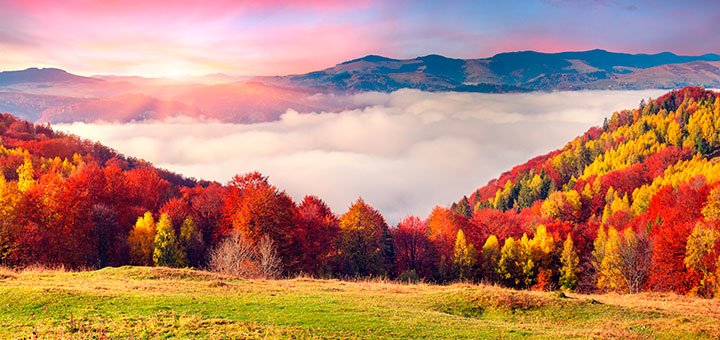 https://cdn1.pokupon.ua/uploaded/new_campaign_pictures/517994/data/main720x340/shutterstock_232592047.jpg?1539071402