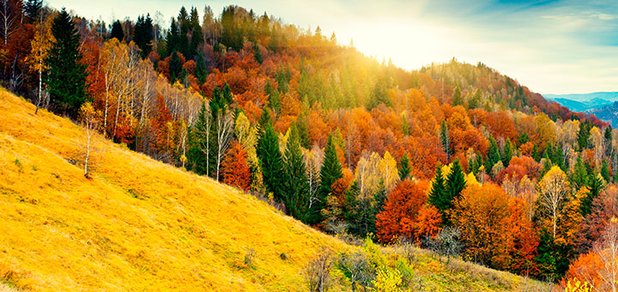 https://cdn1.pokupon.ua/uploaded/new_campaign_pictures/517996/data/main620x292/shutterstock_129821174.jpg?1539071402