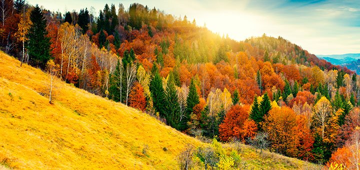 https://cdn1.pokupon.ua/uploaded/new_campaign_pictures/517996/data/main720x340/shutterstock_129821174.jpg?1539071402
