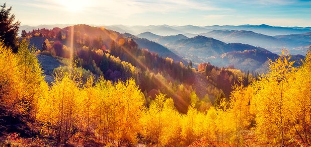 https://cdn1.pokupon.ua/uploaded/new_campaign_pictures/518001/data/main620x292/shutterstock_337856570.jpg?1539071403