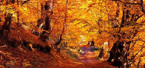 https://cdn1.pokupon.ua/uploaded/new_campaign_pictures/518002/data/main620x292/shutterstock_219083797.jpg?1539071403