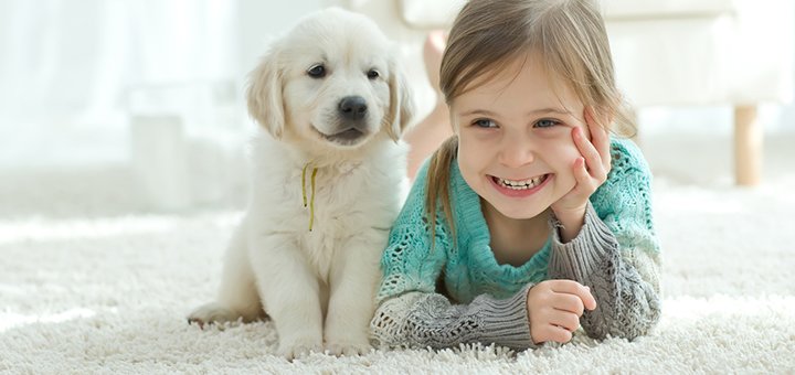 https://cdn1.pokupon.ua/uploaded/new_campaign_pictures/519629/data/main720x340/shutterstock_405492349.jpg?1539678462