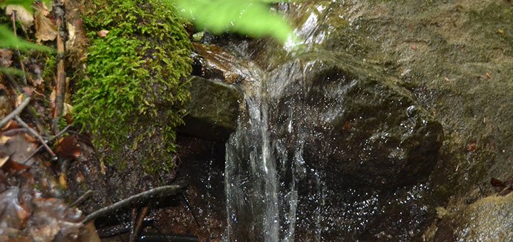 https://cdn1.pokupon.ua/uploaded/new_campaign_pictures/521516/data/main720x340/DSC_1680.JPG?1540299080
