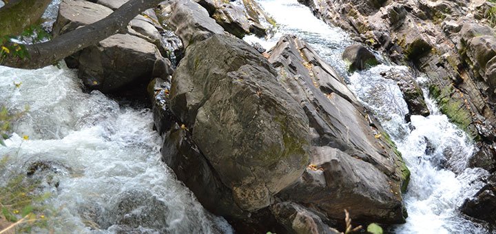 https://cdn1.pokupon.ua/uploaded/new_campaign_pictures/521519/data/main720x340/DSC_1321.JPG?1540299081