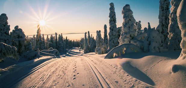 https://cdn1.pokupon.ua/uploaded/new_campaign_pictures/522925/data/main620x292/IMG_2970.JPG?1540825862