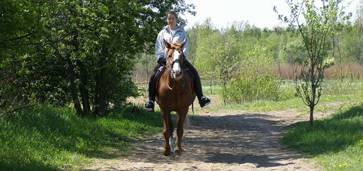 https://cdn1.pokupon.ua/uploaded/new_campaign_pictures/523811/data/main720x340/1241e124.jpg?1540995224