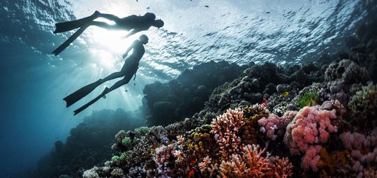 https://cdn1.pokupon.ua/uploaded/new_campaign_pictures/524365/data/main620x292/Tiran-Island-Best-Dive-Site-Sharm-El-Sheikh-1.jpg?1541146485