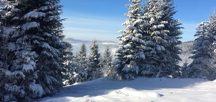 https://cdn1.pokupon.ua/uploaded/new_campaign_pictures/524520/data/main720x340/11.jpg?1541155266