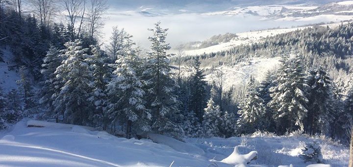 https://cdn1.pokupon.ua/uploaded/new_campaign_pictures/524522/data/main720x340/9.jpg?1541155266