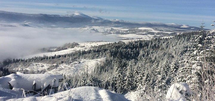 https://cdn1.pokupon.ua/uploaded/new_campaign_pictures/524523/data/main720x340/8.jpg?1541155267