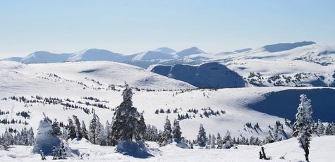 От 3 дней в отеле «Карпатські Роси» в Яремче