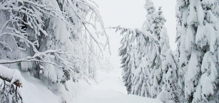 https://cdn1.pokupon.ua/uploaded/new_campaign_pictures/525595/data/main720x340/big16187.jpg?1541590470