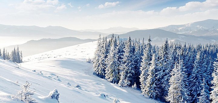 https://cdn1.pokupon.ua/uploaded/new_campaign_pictures/525664/data/main720x340/glav_slav-r1r1h500w711zc3q100.jpg?1541598527