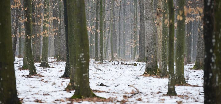 https://cdn1.pokupon.ua/uploaded/new_campaign_pictures/526044/data/main720x340/a3.2ee07eda2130d40bb550696522f71260.jpg?1541682606