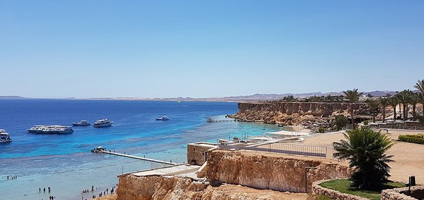 https://cdn1.pokupon.ua/uploaded/new_campaign_pictures/527249/data/main620x292/Reef-Oasis-Beach-Resort_11-min.jpg?1542188533