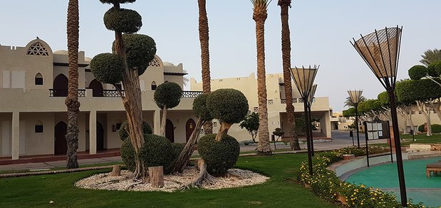 https://cdn1.pokupon.ua/uploaded/new_campaign_pictures/527256/data/main620x292/Reef-Oasis-Beach-Resort_75-min.jpg?1542188728