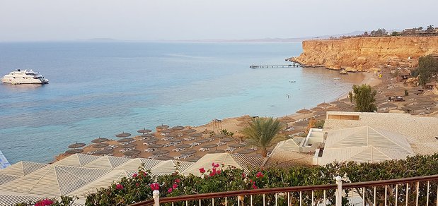 https://cdn1.pokupon.ua/uploaded/new_campaign_pictures/527258/data/main620x292/Reef-Oasis-Beach-Resort_124-min.jpg?1542188728