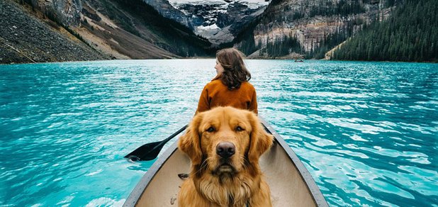 https://cdn1.pokupon.ua/uploaded/new_campaign_pictures/527470/data/main620x292/134793629_14469060596871n20181114-10080-1dmlwsg.jpg?1542206093