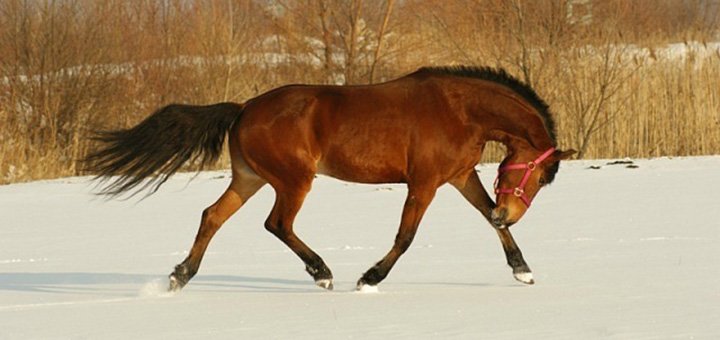 https://cdn1.pokupon.ua/uploaded/new_campaign_pictures/527840/data/main720x340/y_7220ea86.jpg?1542294366