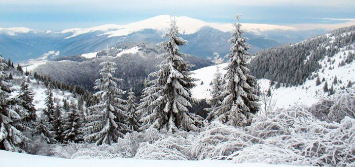 https://cdn1.pokupon.ua/uploaded/new_campaign_pictures/528363/data/main720x340/karpati-zimoy.jpg?1542623121