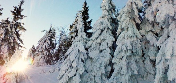 https://cdn1.pokupon.ua/uploaded/new_campaign_pictures/531463/data/main620x292/DSC00839.jpg?1543314137
