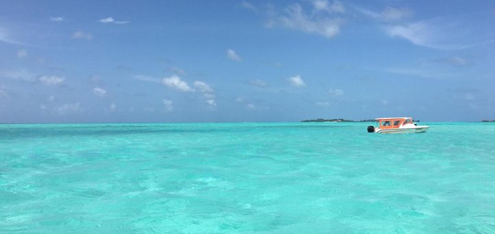 https://cdn1.pokupon.ua/uploaded/new_campaign_pictures/532072/data/main720x340/5852290.jpg?1543398381