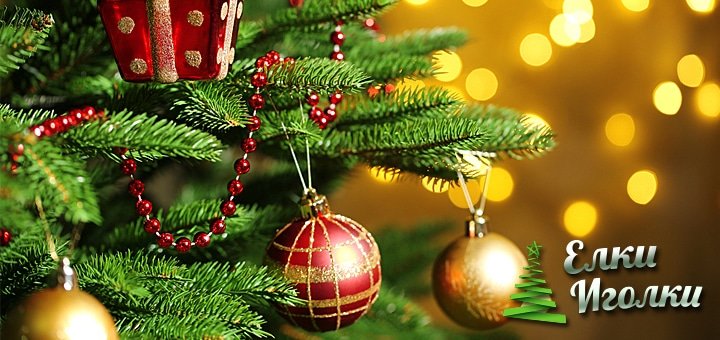 https://cdn1.pokupon.ua/uploaded/new_campaign_pictures/53515/data/main720x340/shutterstock_228613051.jpg?1449839595