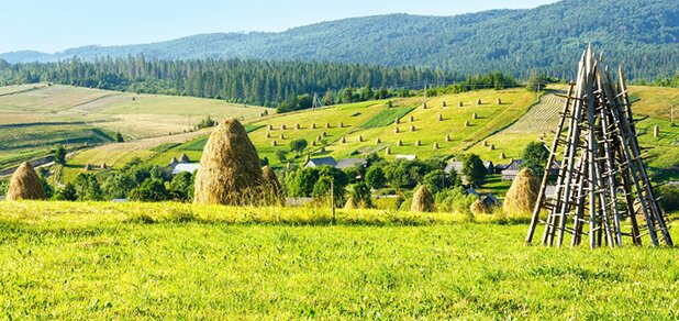 https://cdn1.pokupon.ua/uploaded/new_campaign_pictures/535293/data/main620x292/378274-svetik.jpg?1553090059