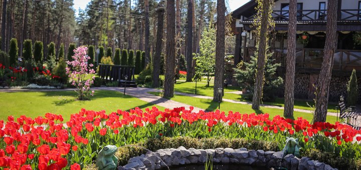 https://cdn1.pokupon.ua/uploaded/new_campaign_pictures/535463/data/main720x340/3074-2.jpg?1544018523