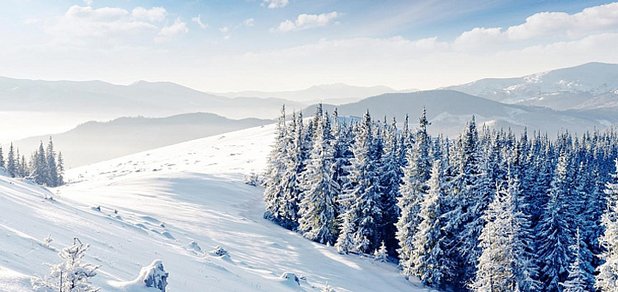 https://cdn1.pokupon.ua/uploaded/new_campaign_pictures/535620/data/main620x292/glav_slav-r1r1h500w711zc3q10020181206-8669-1i5z55f.jpg?1544055991