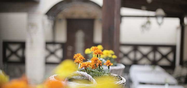 https://cdn1.pokupon.ua/uploaded/new_campaign_pictures/537487/data/main720x340/img_4402.jpg?1544457596
