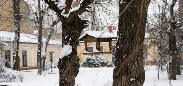 https://cdn1.pokupon.ua/uploaded/new_campaign_pictures/540390/data/main620x292/0-02-05-43c8aeae18d6642872a825095828c6a964559f41a51d5fb57d2102547fbe50e3_full.jpg?1545039945