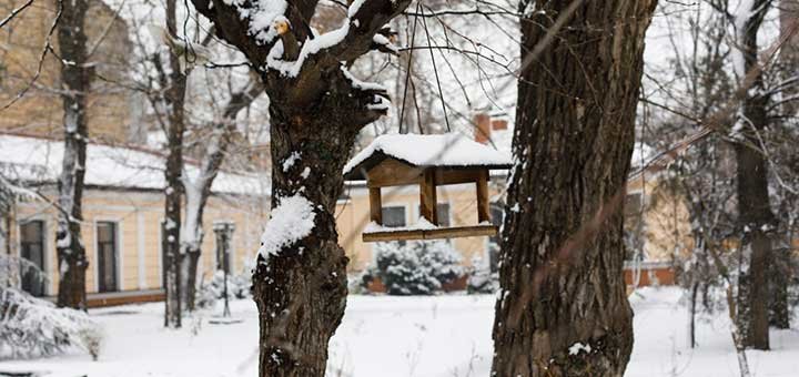 https://cdn1.pokupon.ua/uploaded/new_campaign_pictures/540390/data/main720x340/0-02-05-43c8aeae18d6642872a825095828c6a964559f41a51d5fb57d2102547fbe50e3_full.jpg?1545039945