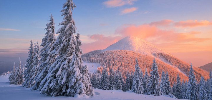 https://cdn1.pokupon.ua/uploaded/new_campaign_pictures/540682/data/main720x340/148258760716783075020181217-28144-afc6xp.jpg?1545061975