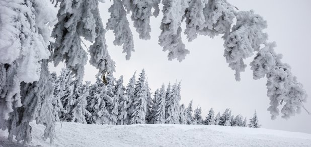 https://cdn1.pokupon.ua/uploaded/new_campaign_pictures/540689/data/main620x292/shutterstock_23872893120181217-28144-16ef1se.jpg?1545061977