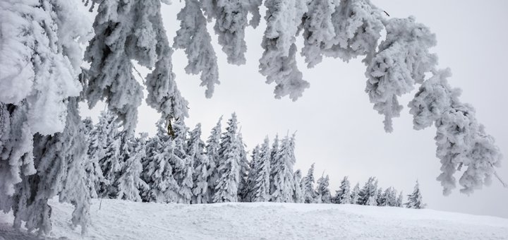 https://cdn1.pokupon.ua/uploaded/new_campaign_pictures/540689/data/main720x340/shutterstock_23872893120181217-28144-16ef1se.jpg?1545061977