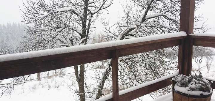 https://cdn1.pokupon.ua/uploaded/new_campaign_pictures/541407/data/main720x340/174141646.jpg?1545218101