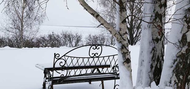 https://cdn1.pokupon.ua/uploaded/new_campaign_pictures/541479/data/main620x292/IMG_0503.JPG?1545223359