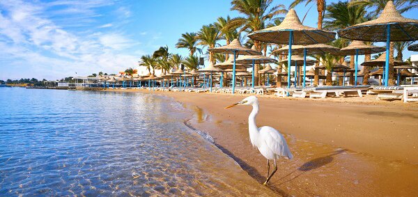 https://cdn1.pokupon.ua/uploaded/new_campaign_pictures/545402/data/main720x340/shutterstock_76.jpg?1547023888