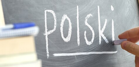 До 60 занятий польским в «Deutsches Institut»